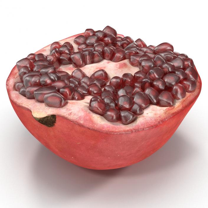 3D model Pomegranate Cross Section