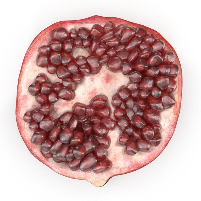 3D model Pomegranate Cross Section