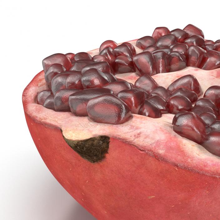 3D model Pomegranate Cross Section