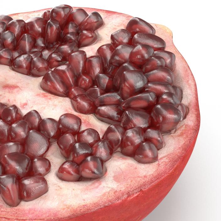 3D model Pomegranate Cross Section