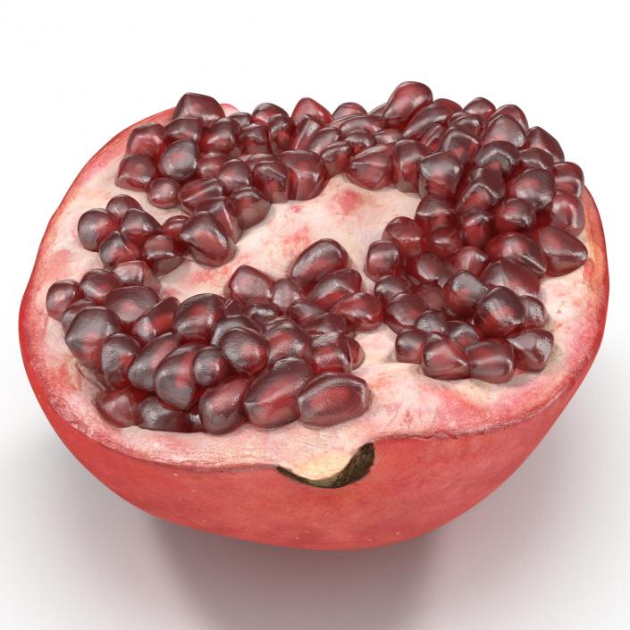 3D model Pomegranate Cross Section