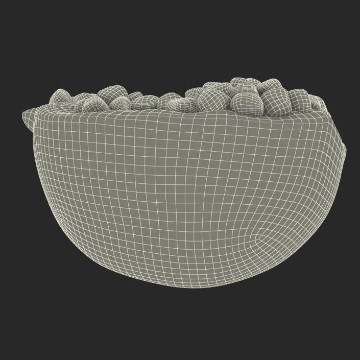 3D model Pomegranate Cross Section