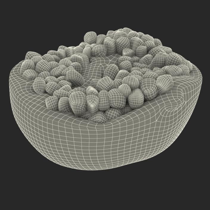 3D model Pomegranate Cross Section