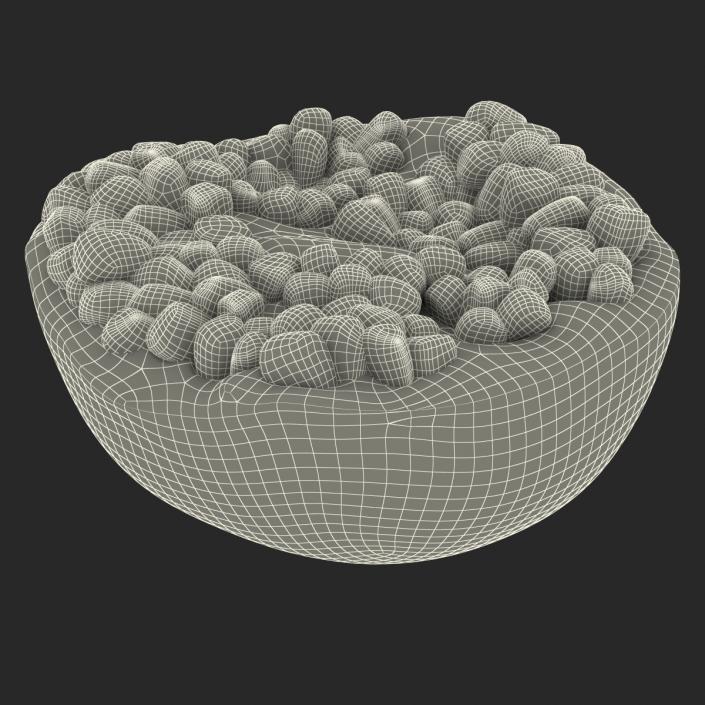 3D model Pomegranate Cross Section