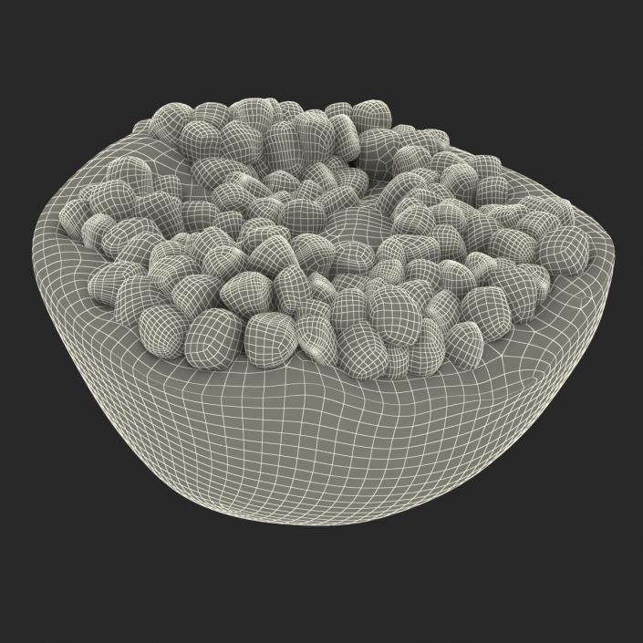 3D model Pomegranate Cross Section