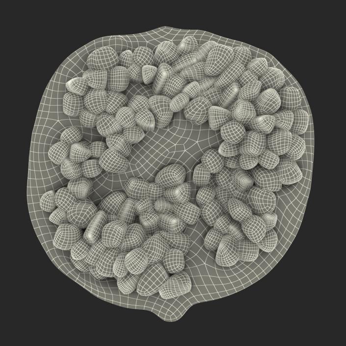 3D model Pomegranate Cross Section