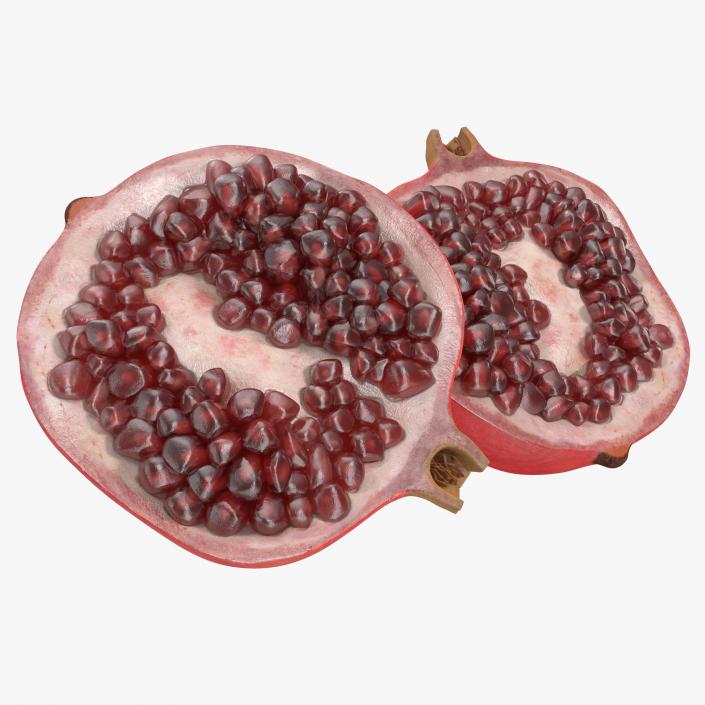 Pomegranate Cross Section 3 3D