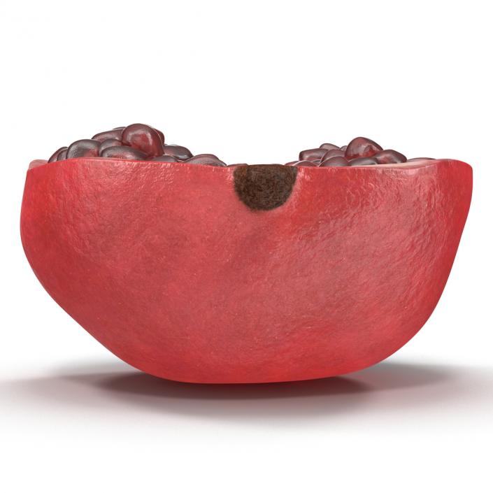 Pomegranate Cross Section 3 3D