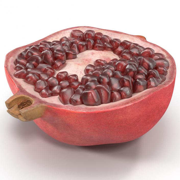 Pomegranate Cross Section 3 3D