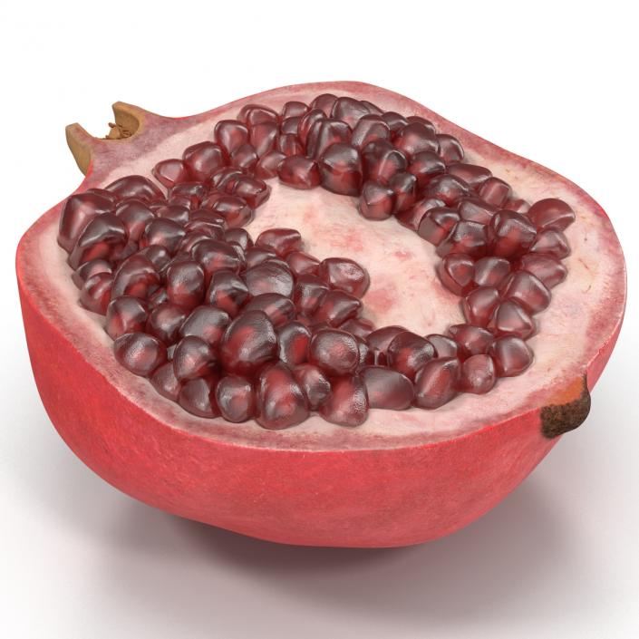 Pomegranate Cross Section 3 3D