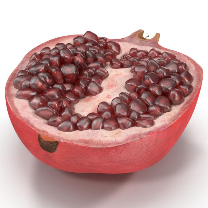 Pomegranate Cross Section 3 3D