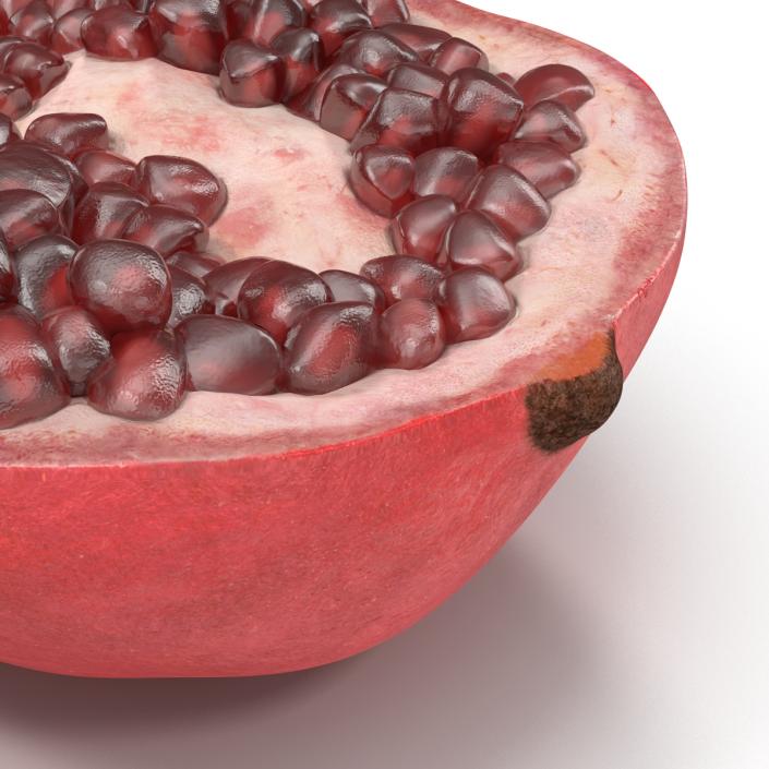 Pomegranate Cross Section 3 3D