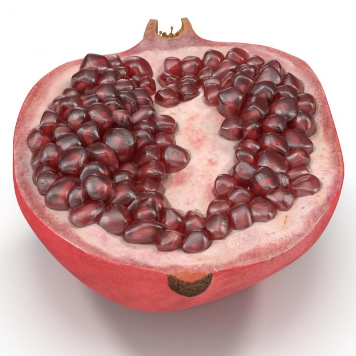 Pomegranate Cross Section 3 3D