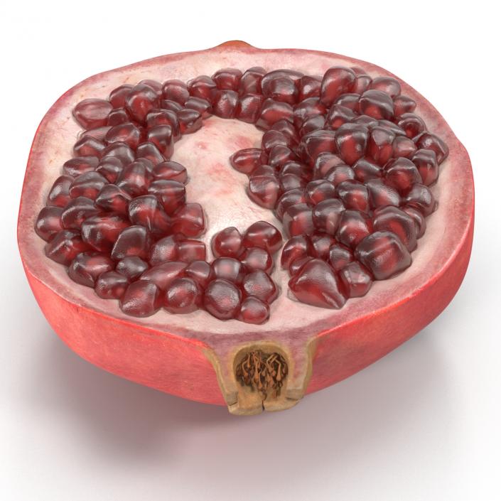 Pomegranate Cross Section 3 3D