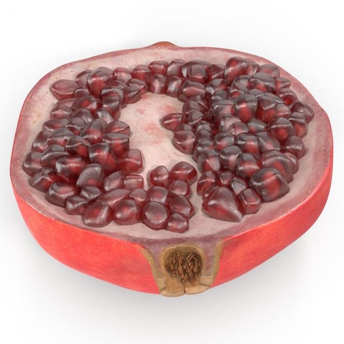 Pomegranate Cross Section 3 3D