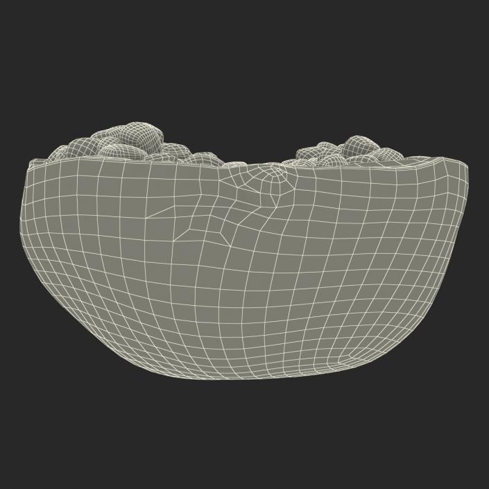 Pomegranate Cross Section 3 3D