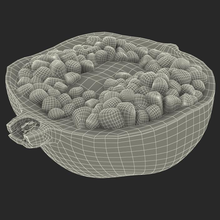 Pomegranate Cross Section 3 3D