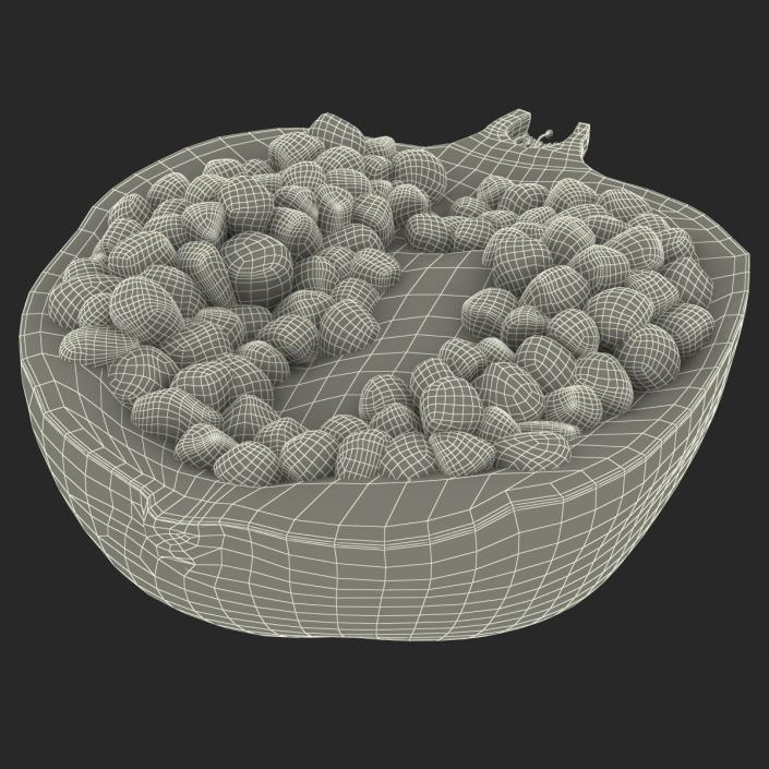 Pomegranate Cross Section 3 3D