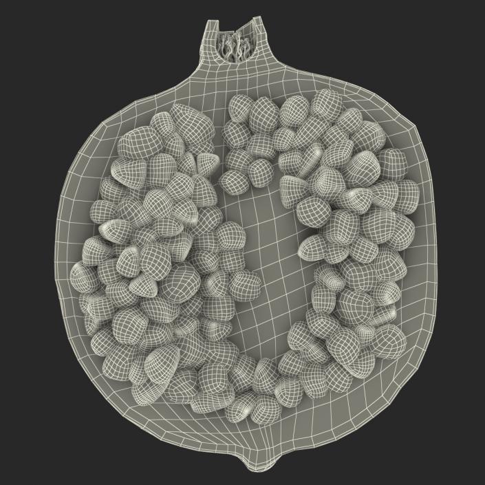 Pomegranate Cross Section 3 3D