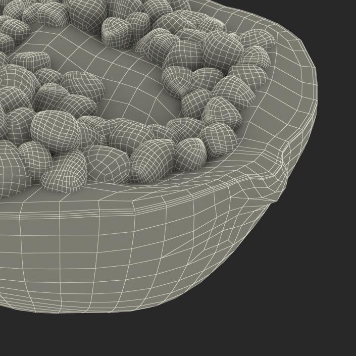 Pomegranate Cross Section 3 3D