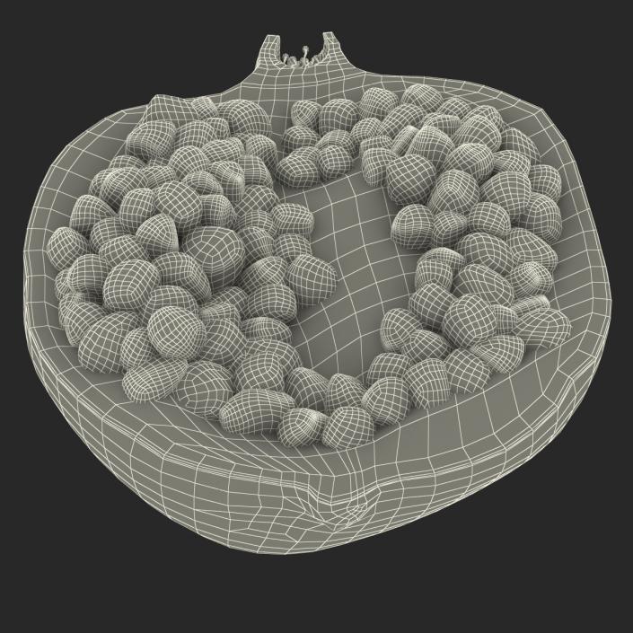 Pomegranate Cross Section 3 3D