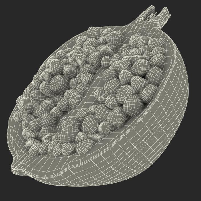 Pomegranate Cross Section 3 3D