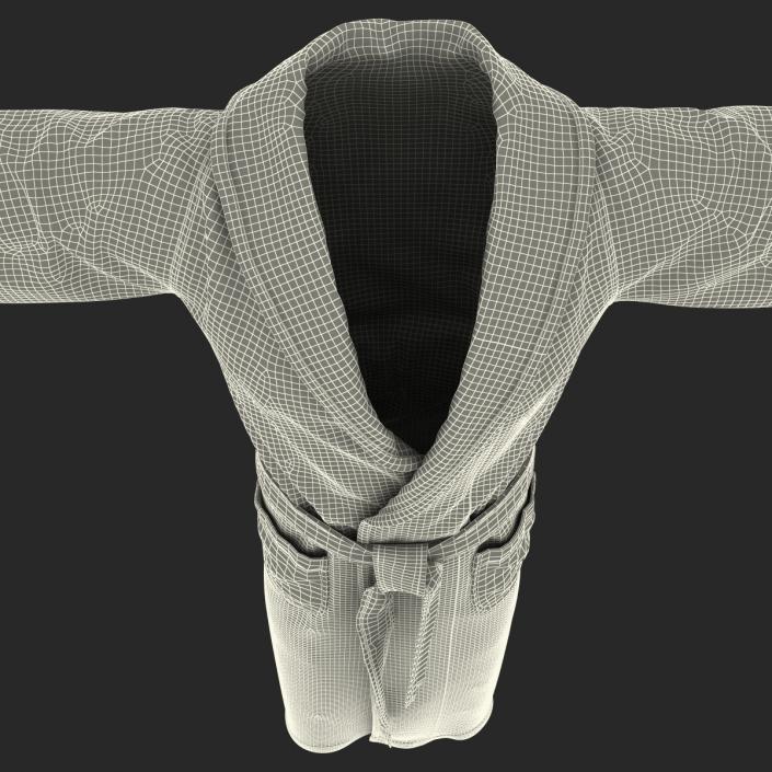 3D model Bathrobe T-Pose