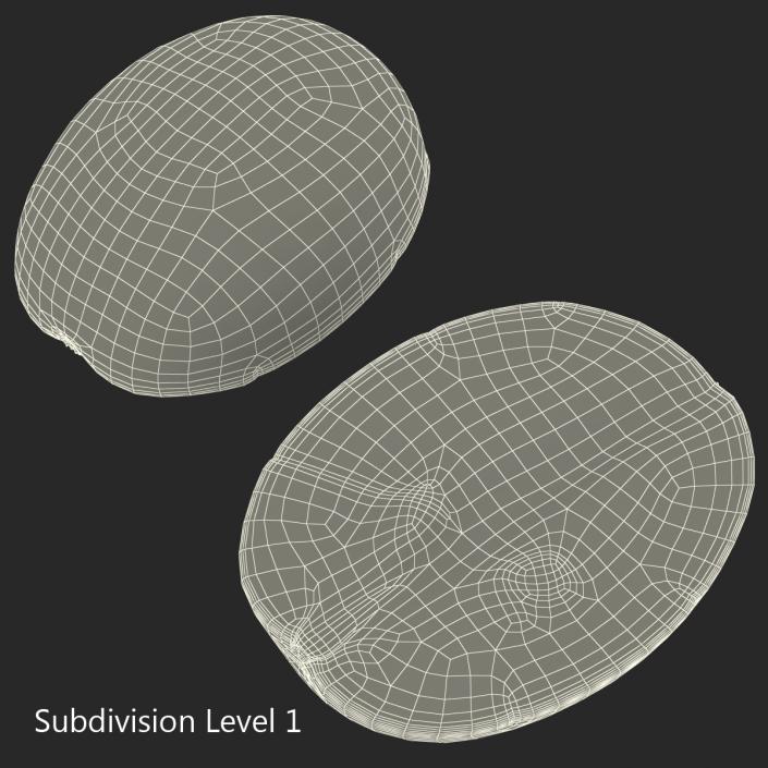 3D model Green Grape Cross Section