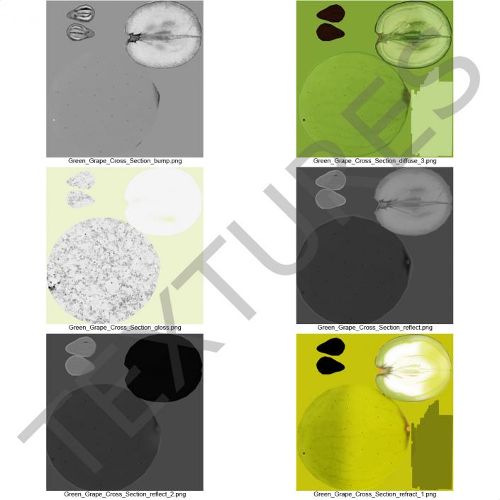 Green Grape Cross Section 2 3D