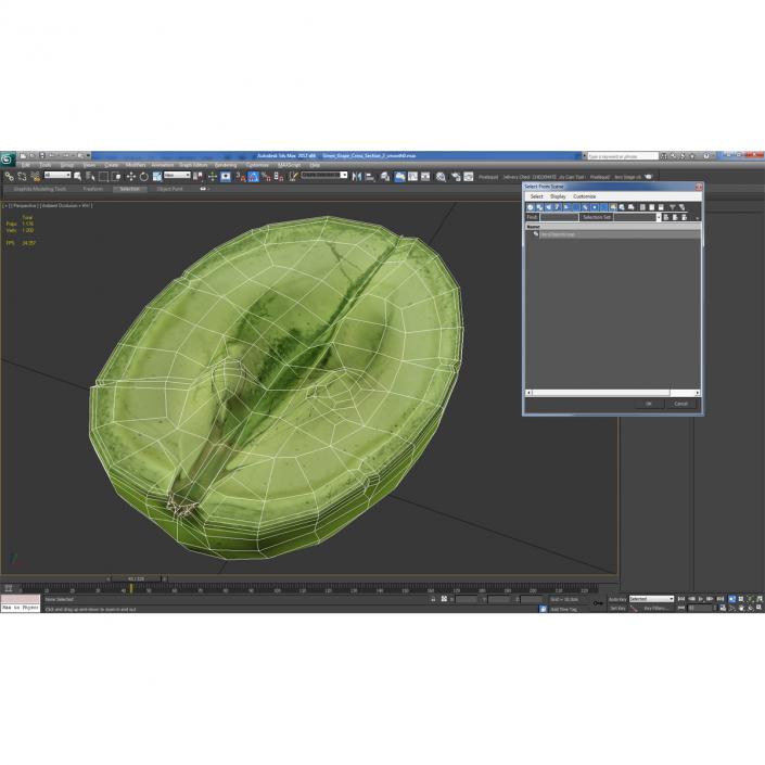 Green Grape Cross Section 2 3D