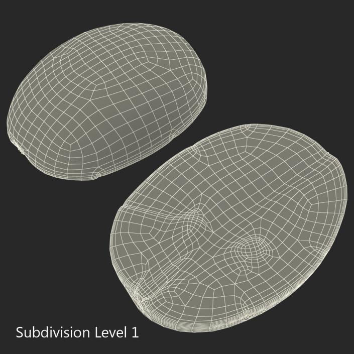 Green Grape Cross Section 2 3D