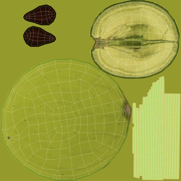 Green Grape Cross Section 3 3D