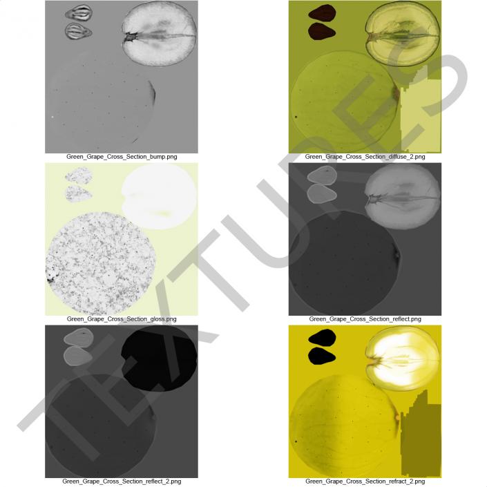 Green Grape Cross Section 3 3D