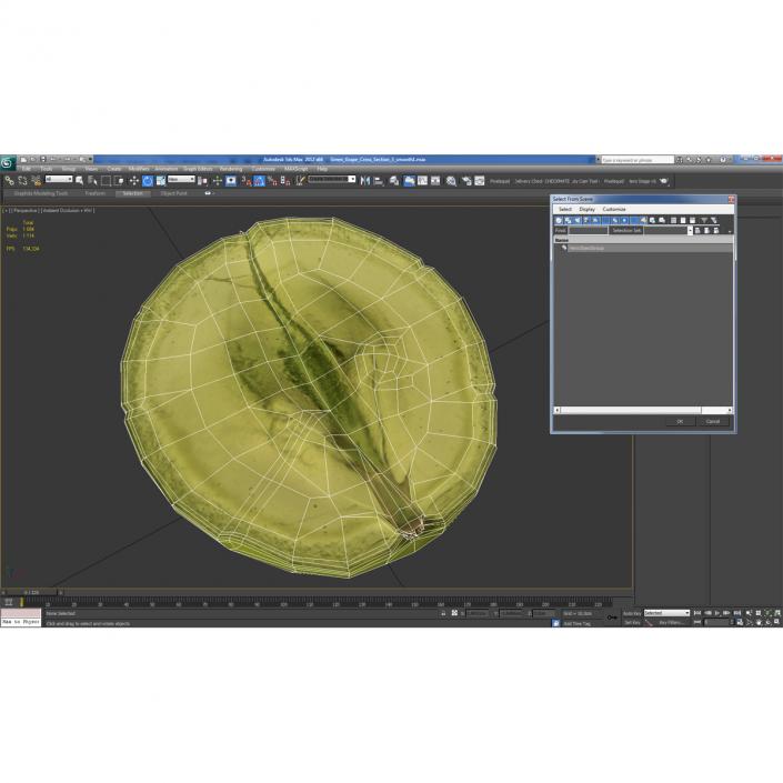 Green Grape Cross Section 3 3D