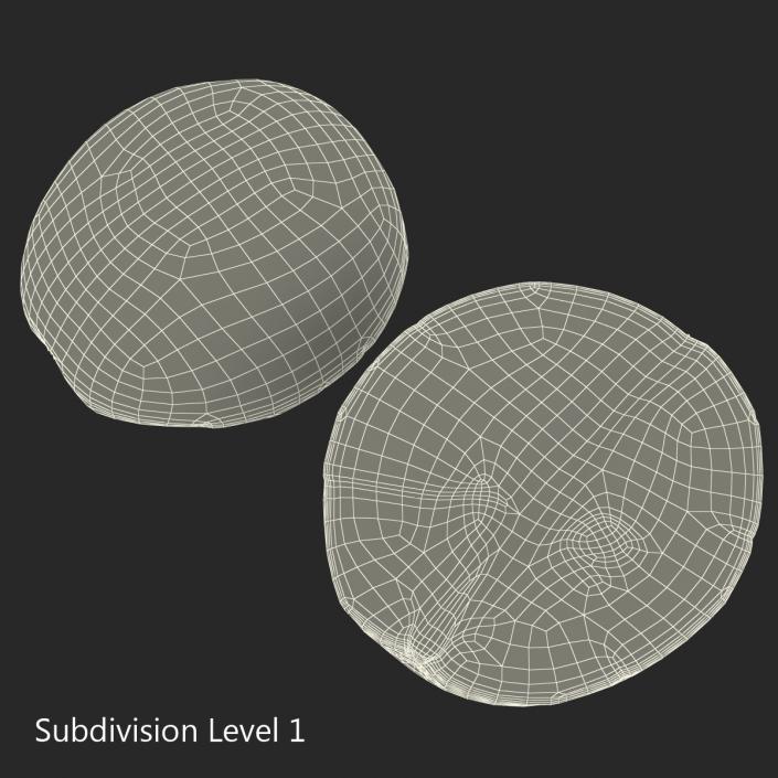 Green Grape Cross Section 3 3D