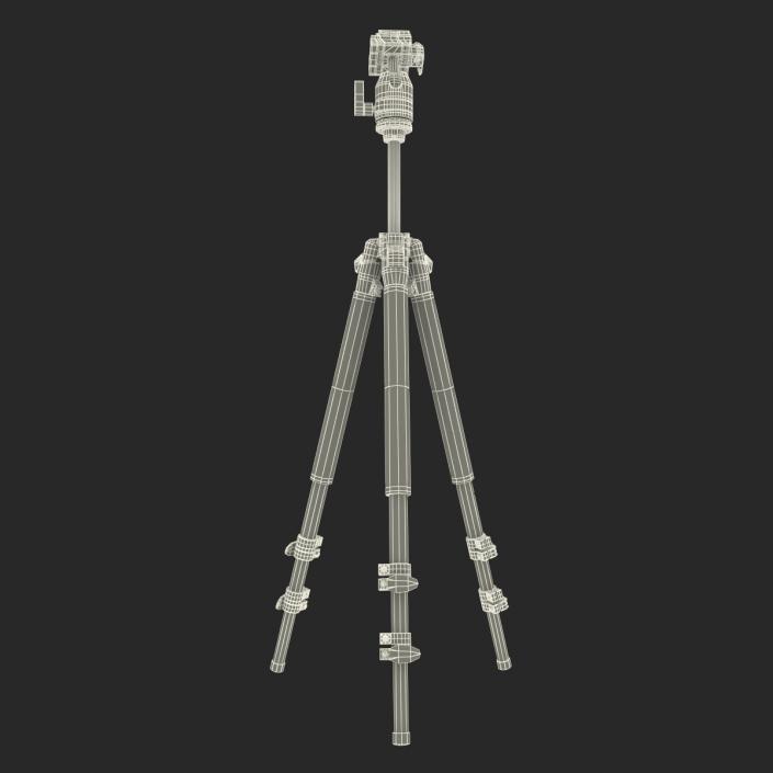 3D Camera Tripod model