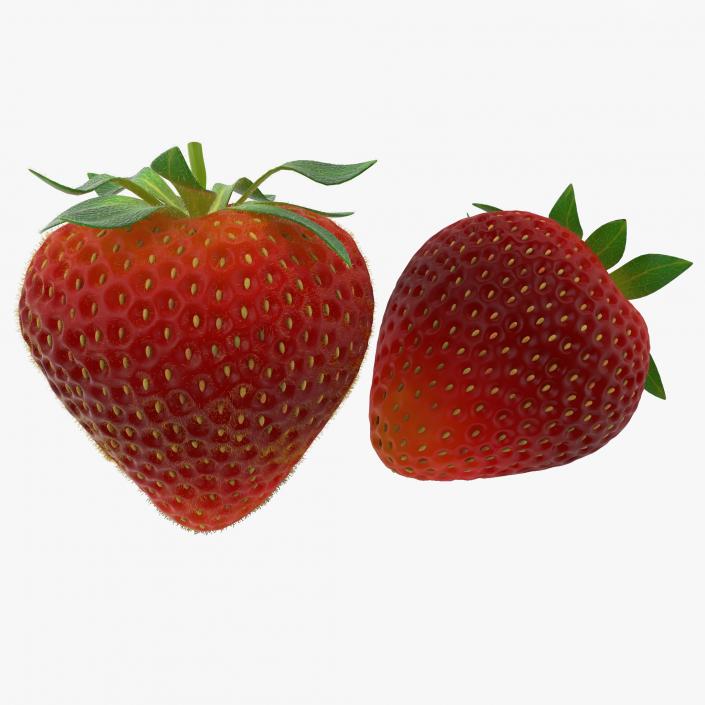 3D model Strawberry