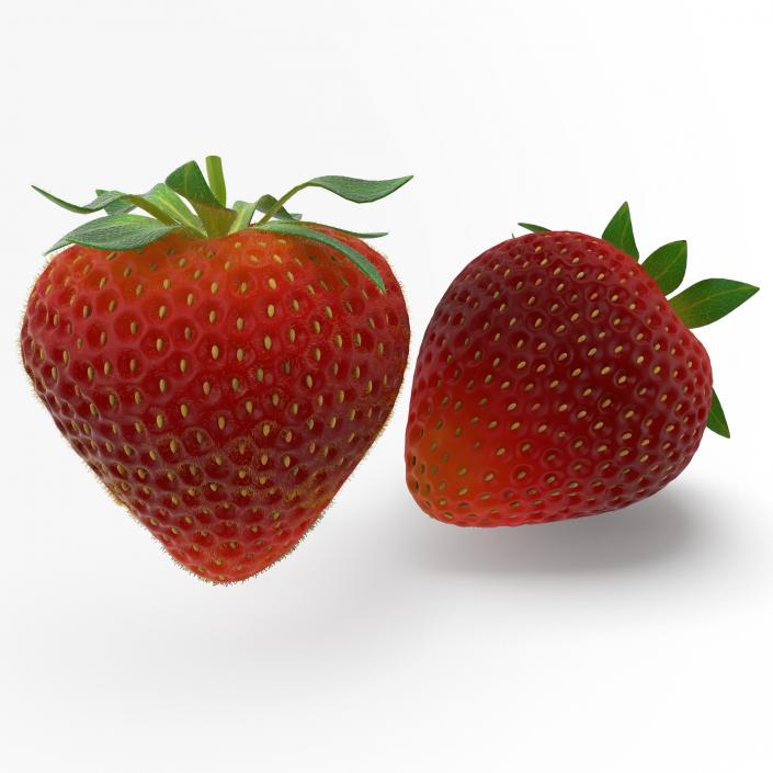 3D model Strawberry