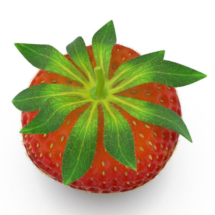 3D model Strawberry