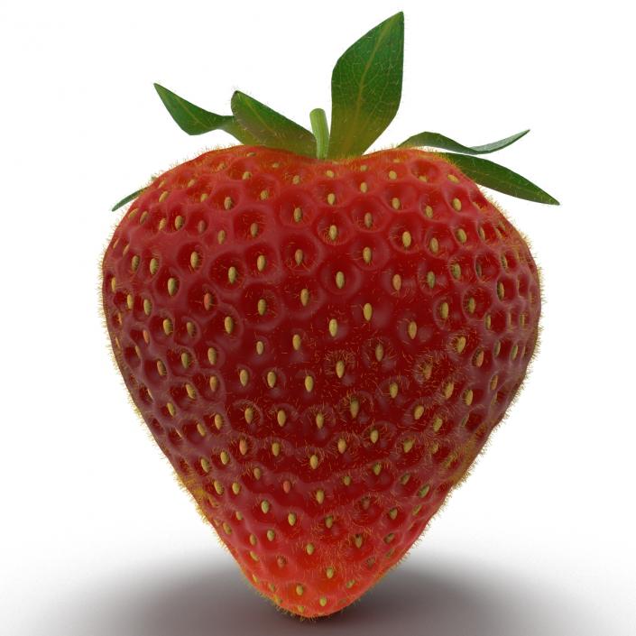 3D model Strawberry