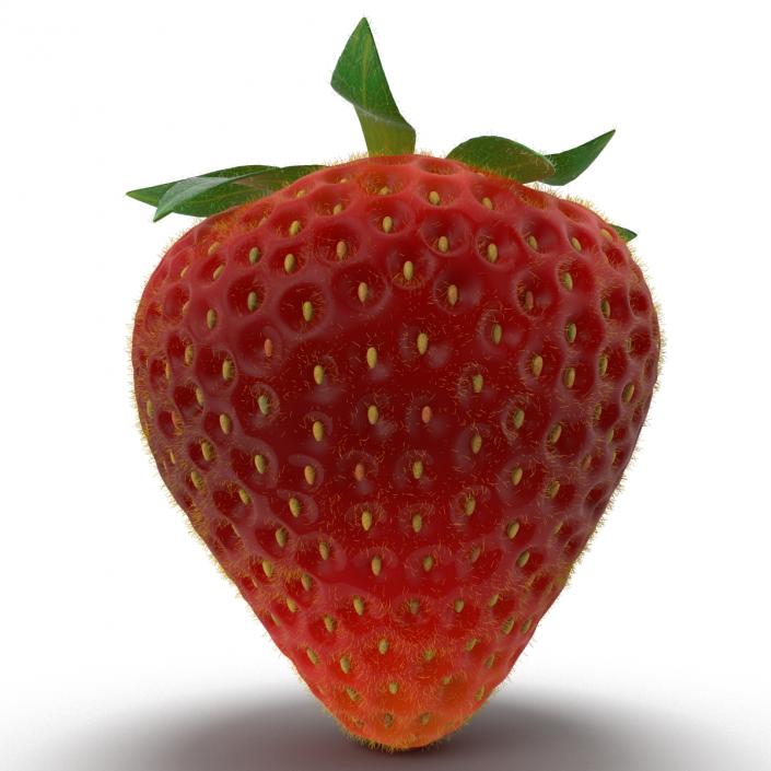 3D model Strawberry