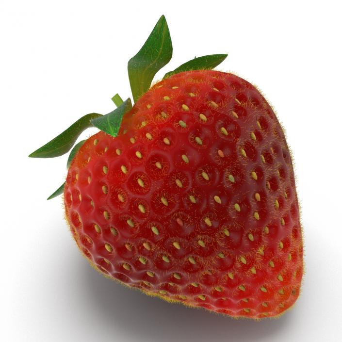 3D model Strawberry