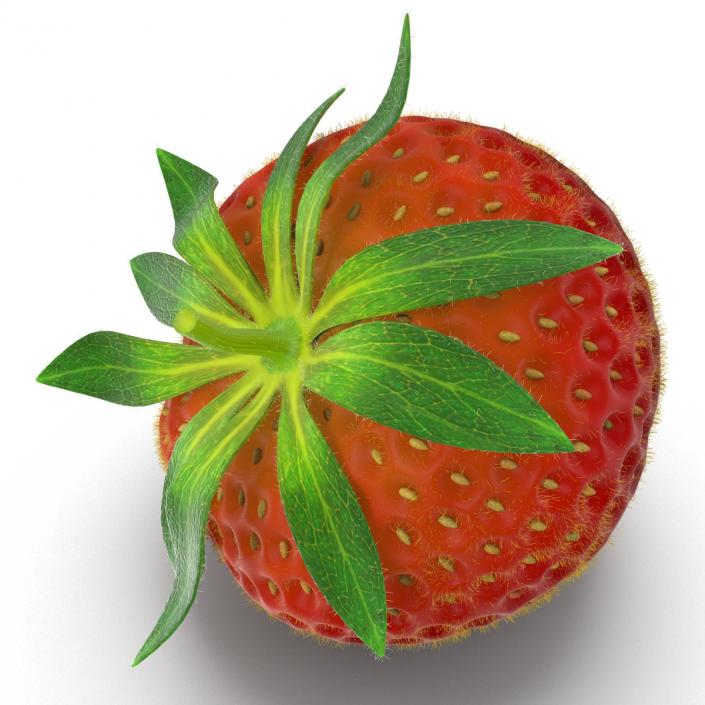 3D model Strawberry