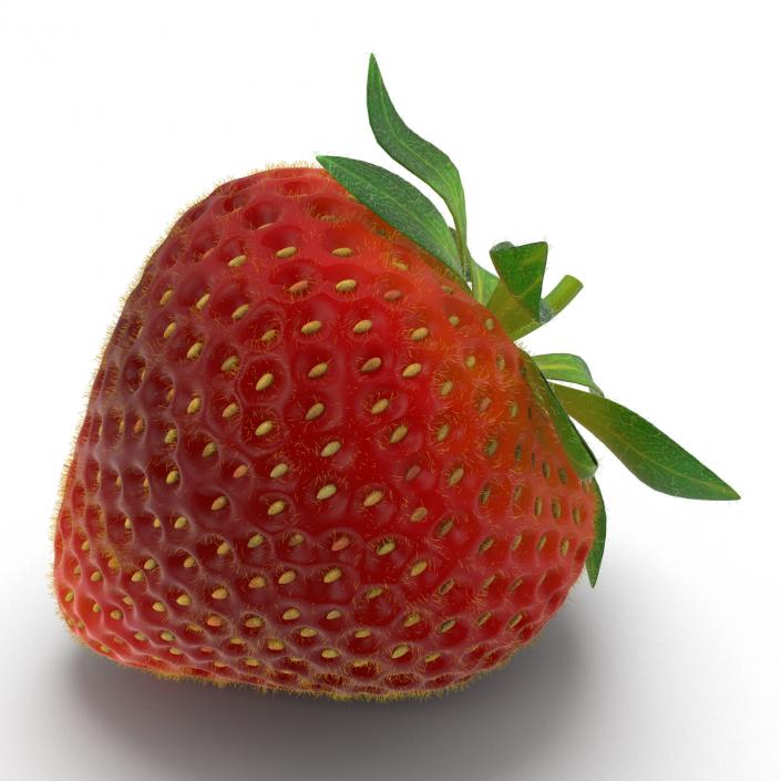 3D model Strawberry