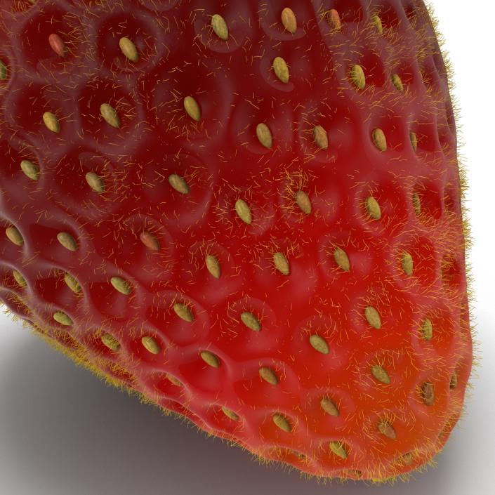 3D model Strawberry