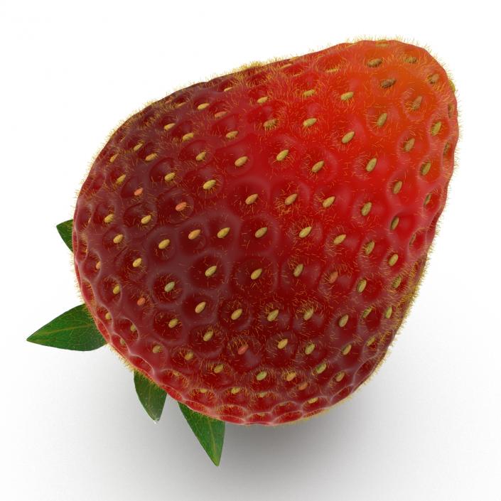 3D model Strawberry