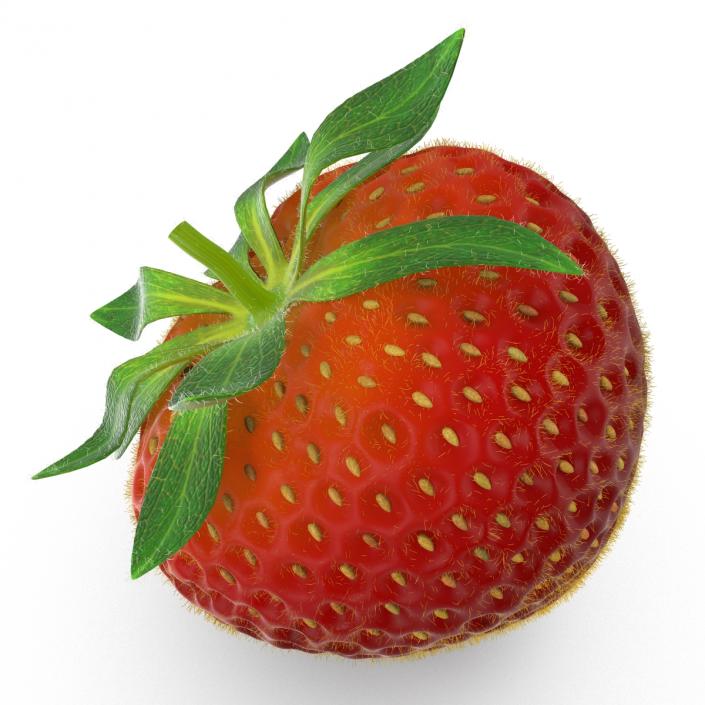 3D model Strawberry