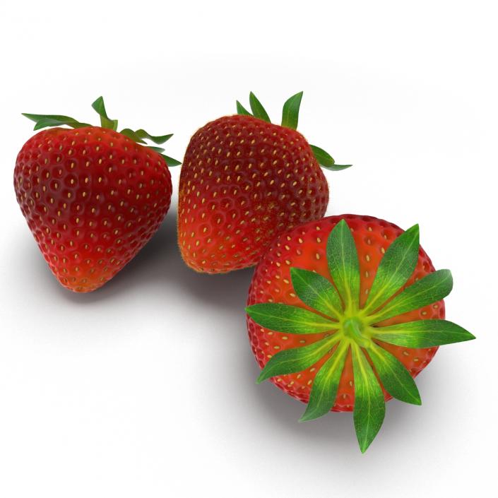 3D model Strawberry