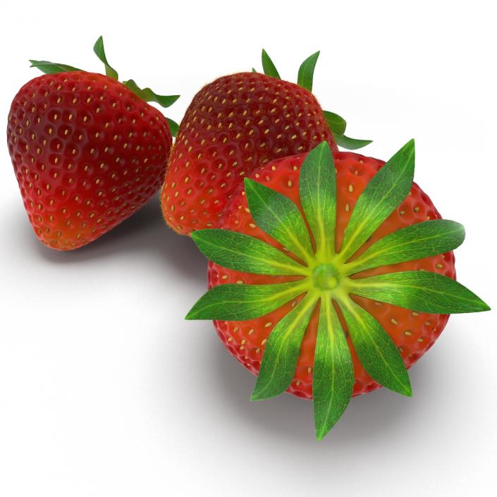 3D model Strawberry