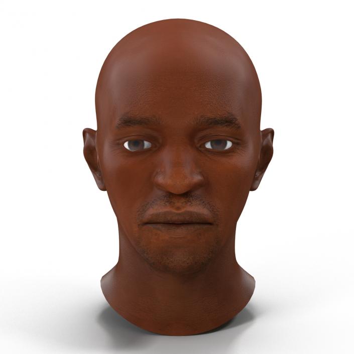 3D African American Male Head 2 model